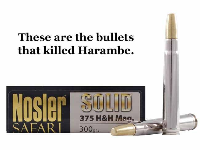 bullets_harambe