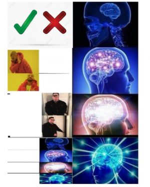 brain expansion meta meme